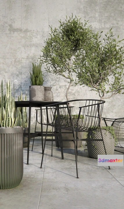 1606696 - decoration - Outdoor_plant_set 3D Max