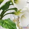 1606704 - decoration - Calla Lily 07 3D Max