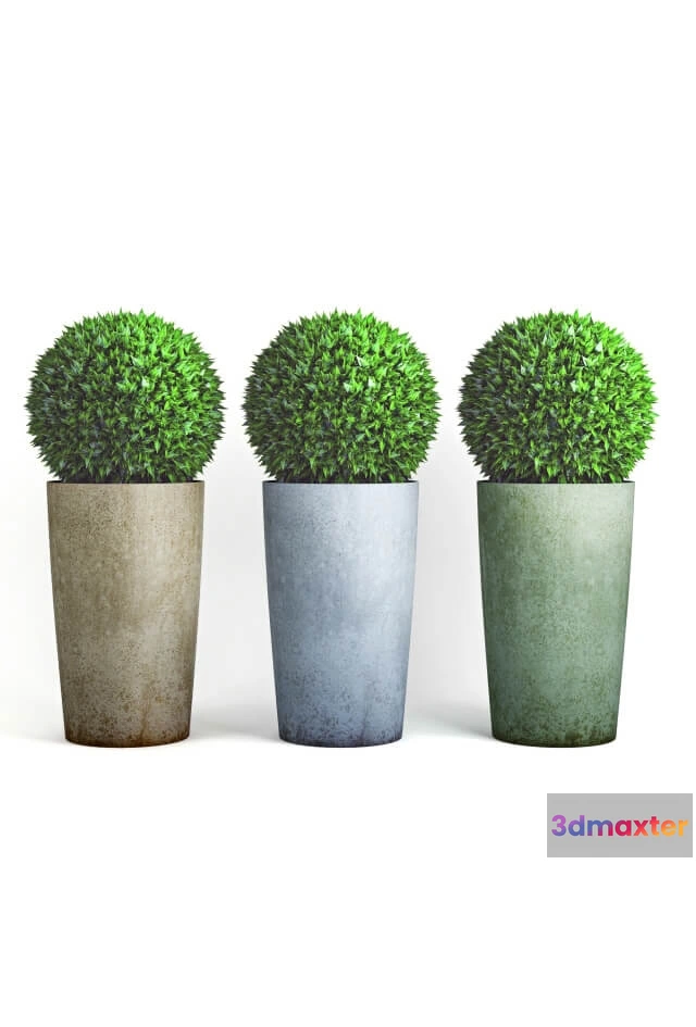 1606706 - decoration - Bushes 3D Max