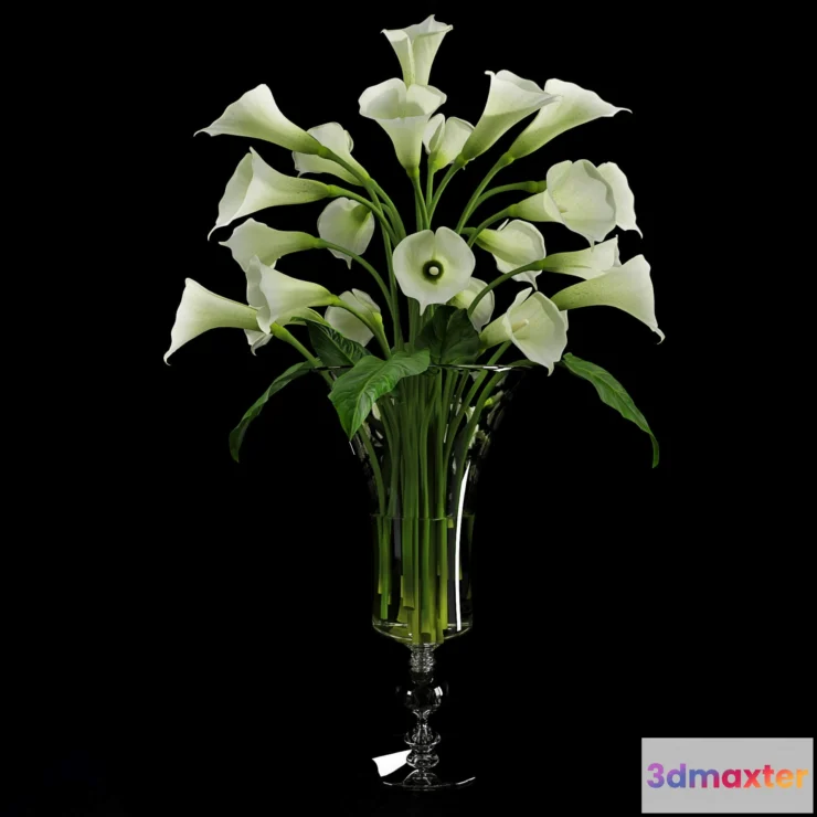 1606708 - decoration - Calla Lily 3 3D Max