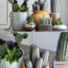1606710 - decoration - Cacti 3D Max
