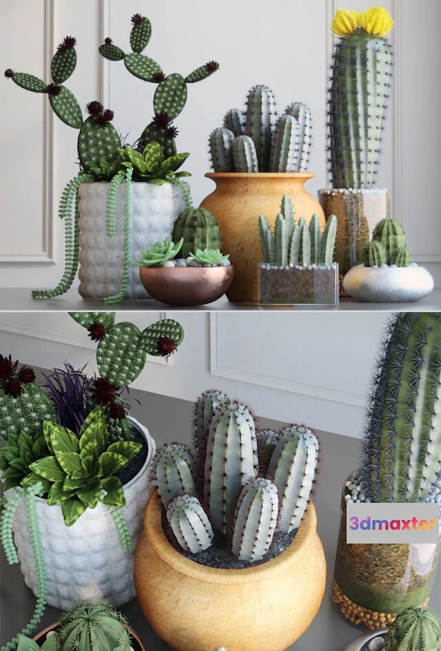 1606710 - decoration - Cacti 3D Max