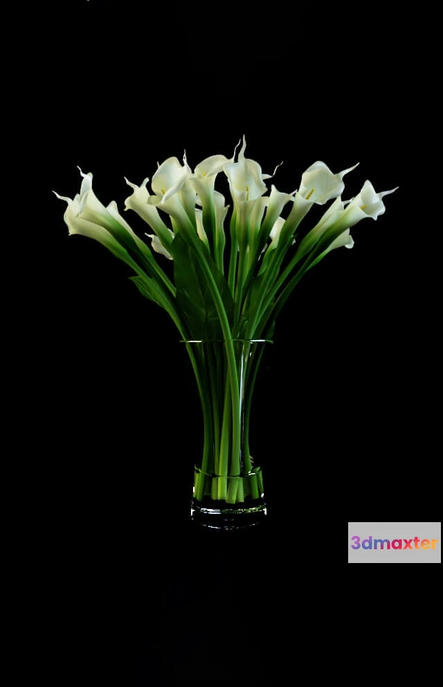 1606716 - decoration - Calla bouquet 3D Max