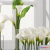 1606718 - decoration - Calla Lily  05 3D Max