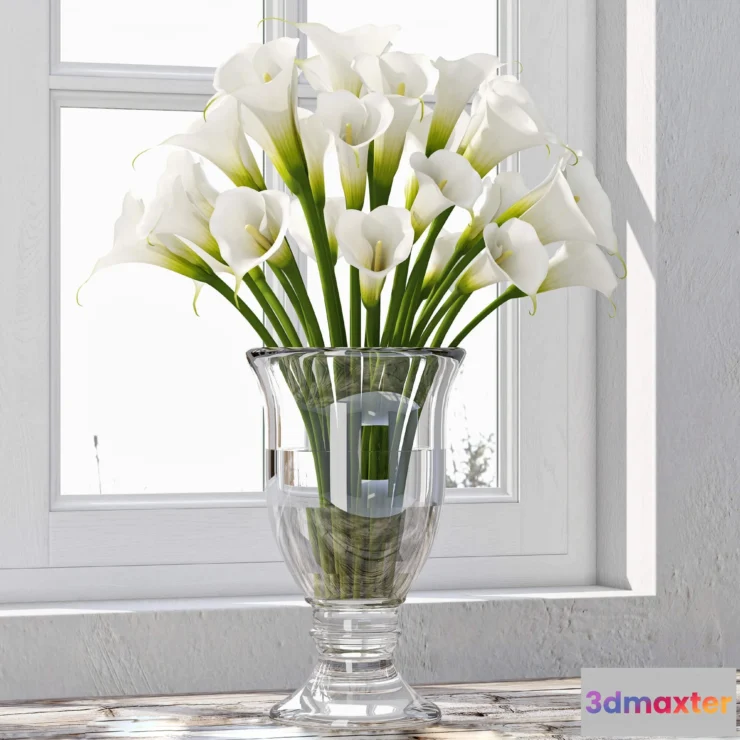 1606722 - decoration - Calla Lily 01 3D Max