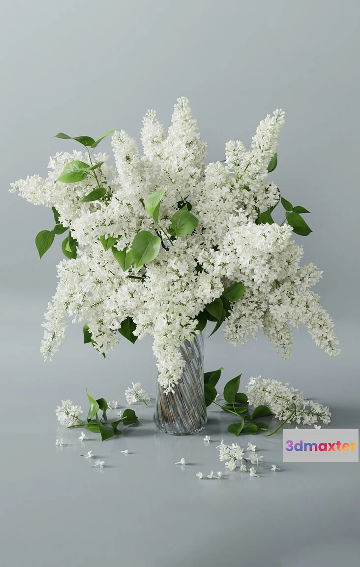 1606728 - decoration - Lilac 5 3D Max