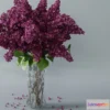 1606738 - decoration - Lilac 3 3D Max