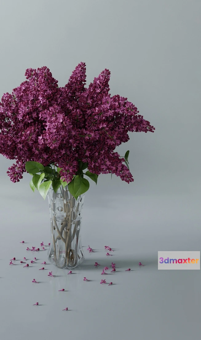 1606738 - decoration - Lilac 3 3D Max
