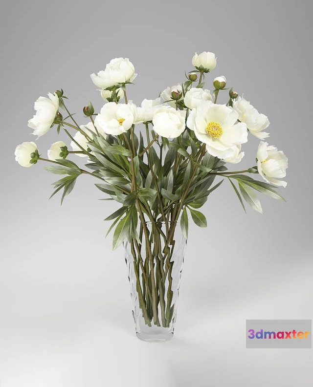 1606754 - decoration - Peonies 03 3D Max