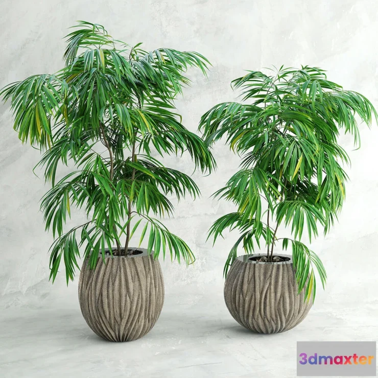 1606776 - decoration - Palm tree 3D Max