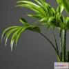 1606784 - decoration - Fan palm 3D Max