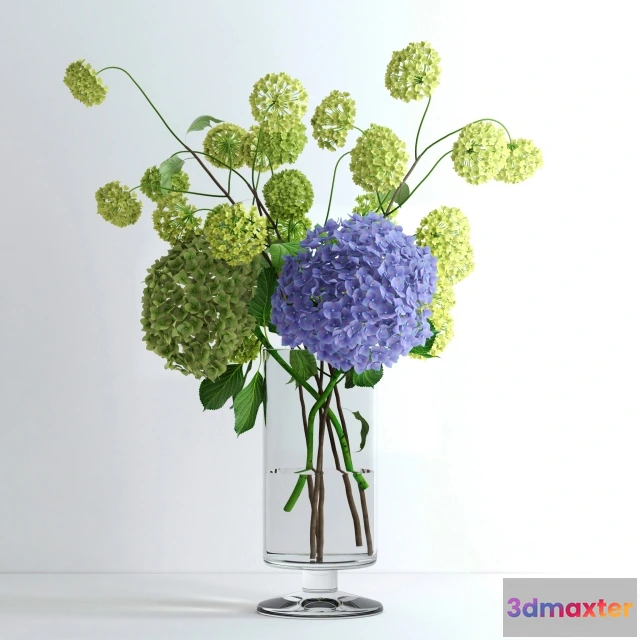1606800 - decoration - Hydrangeas and Viburnum 3D Max