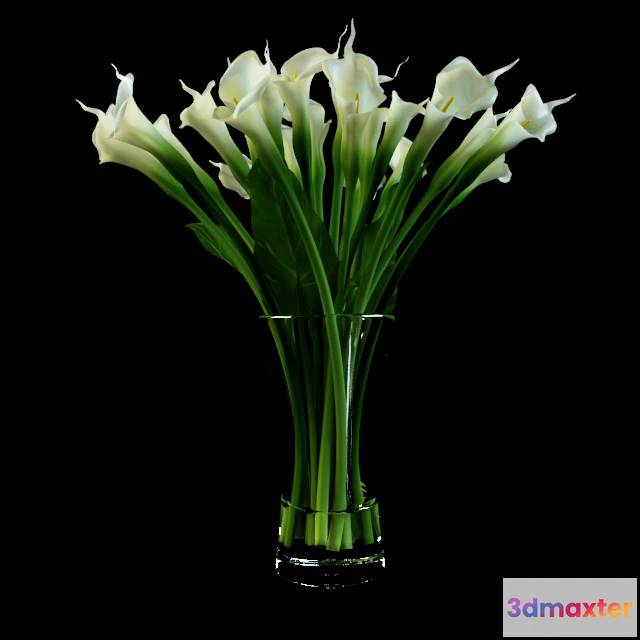 1606806 - decoration - Calla bouquet 3D Max