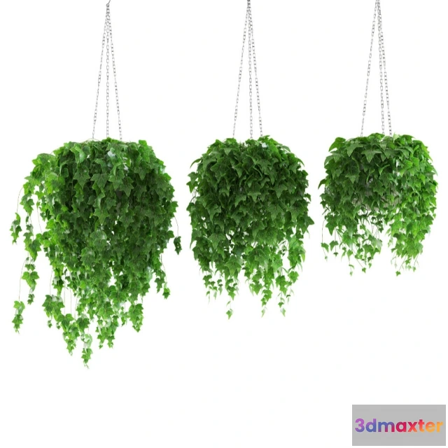 1606816 - decoration - Ivy 3D Max