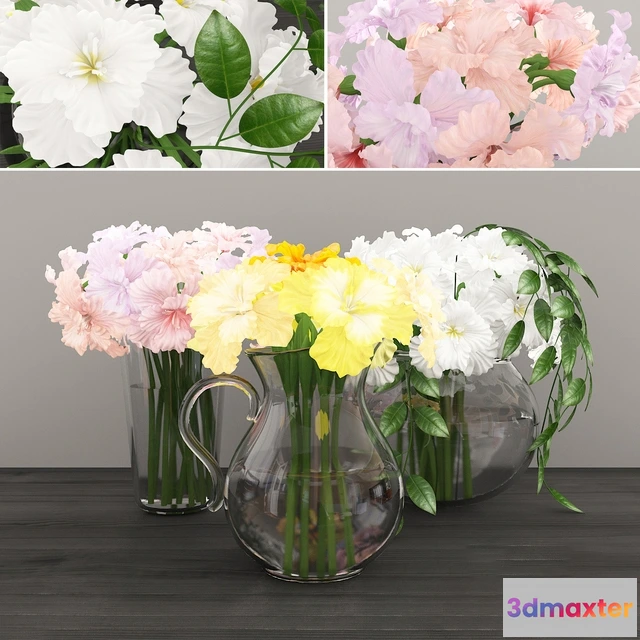 1606826 - decoration - Irises 3D Max