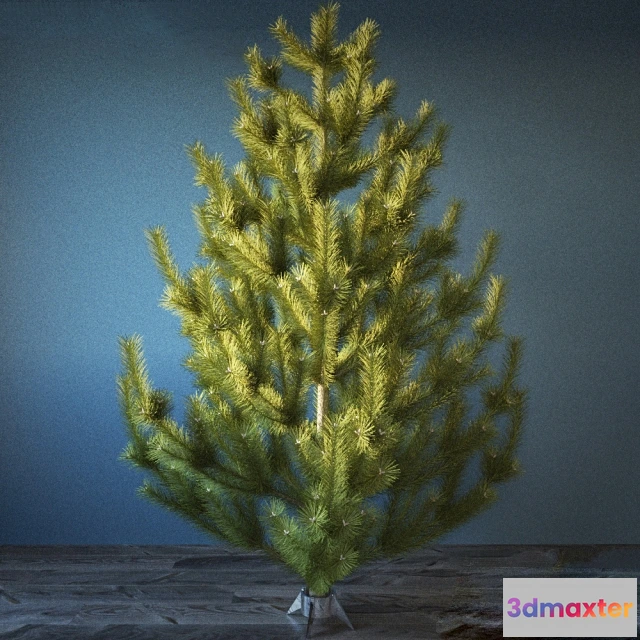 1606832 - decoration - Interior pine 3D Max