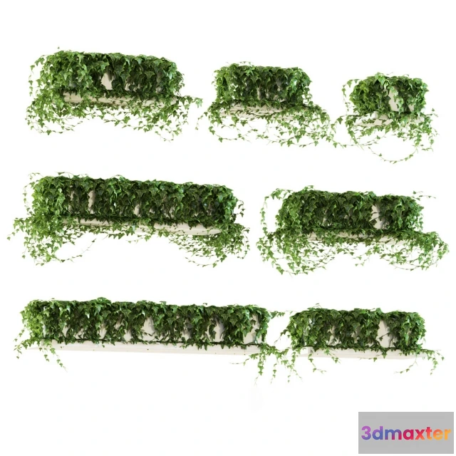 1606836 - decoration - Ivy shelf 3D Max