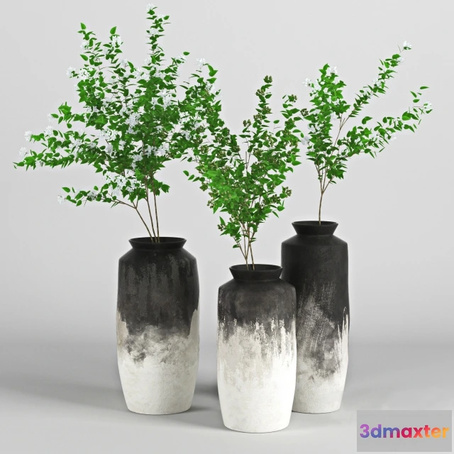 1606868 - decoration - Plant 3D Max