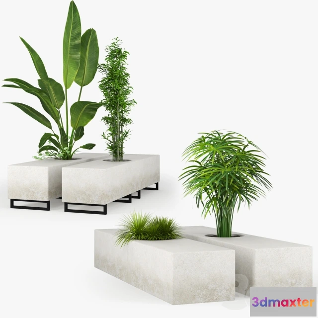 1606882 - decoration - Plants 3D Max