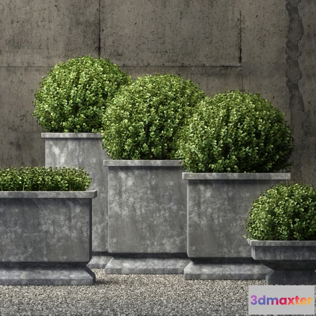 1606908 - decoration - Plants 3D Max