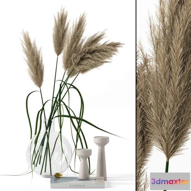 1606924 - decoration - Grass in round vase 3D Max
