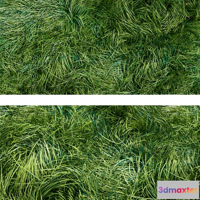 1606932 - decoration - Grass 3D Max
