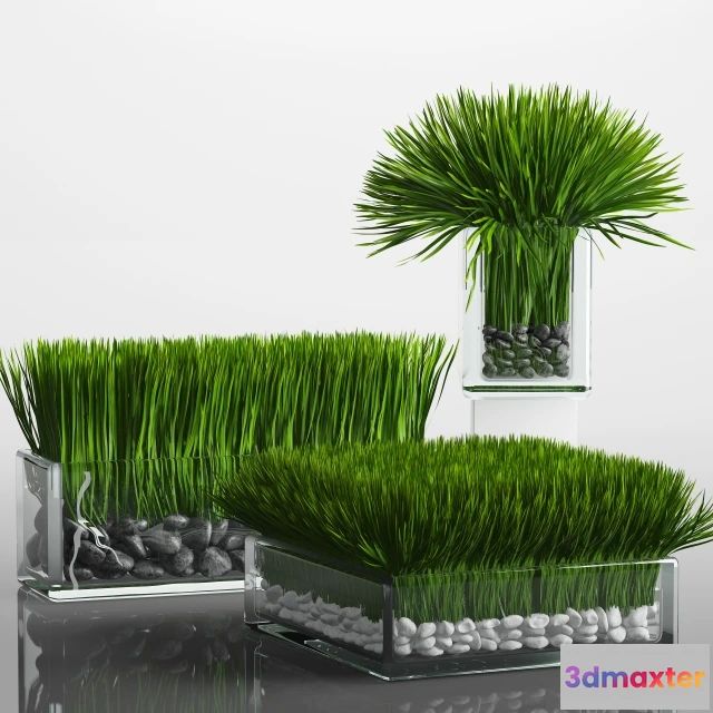 1606936 - decoration - Grass 3D Max
