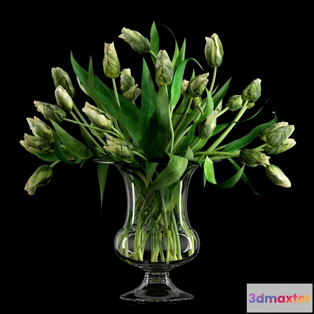 1606940 - decoration - Tulips 3D Max