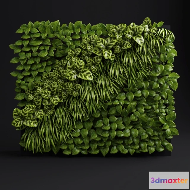 1606958 - decoration - Green wall 3D Max