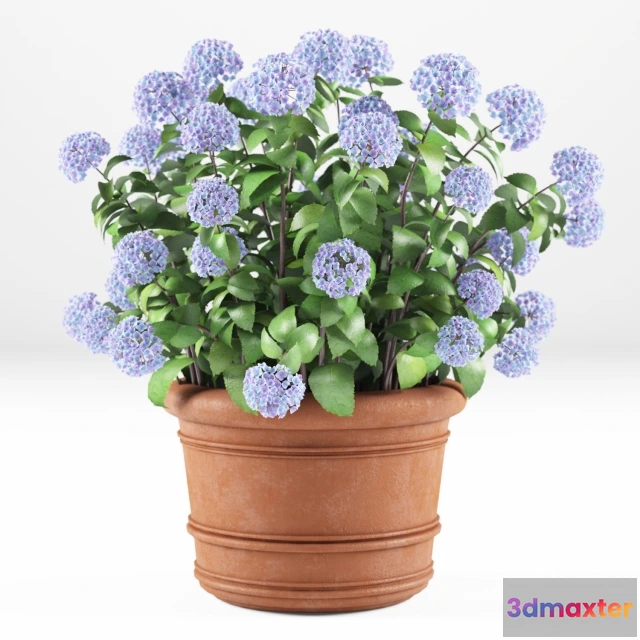 1606966 - decoration - Hortense 3D Max