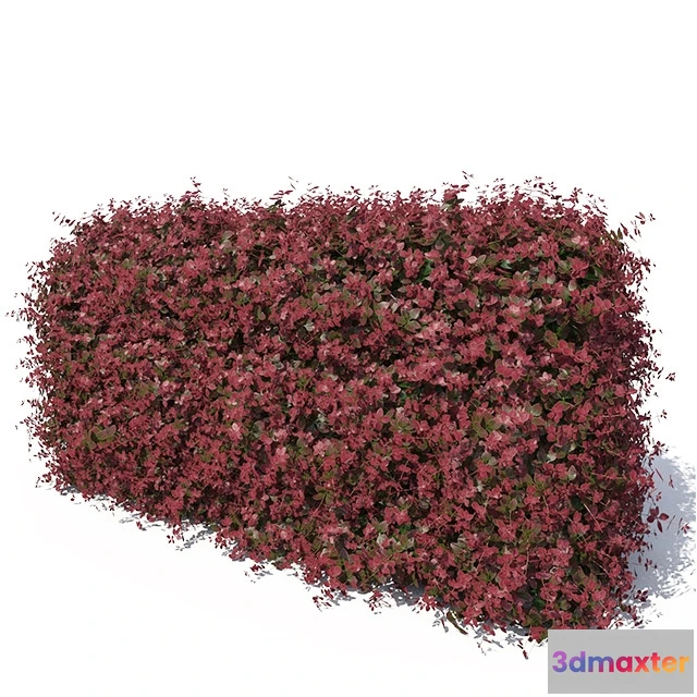 1606968 - decoration - Hedge 3D Max