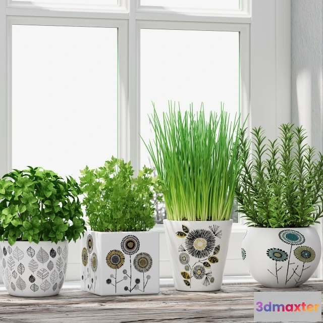 1606972 - decoration - Herbs 3D Max