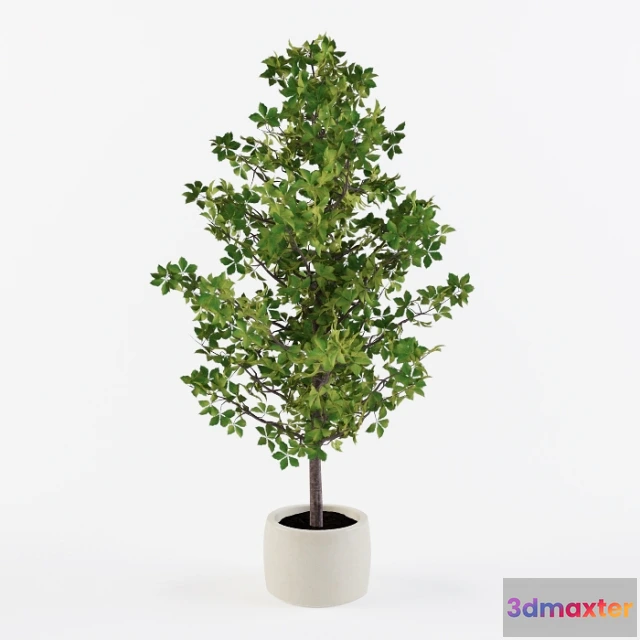 1606974 - decoration - Homemade tree 3D Max