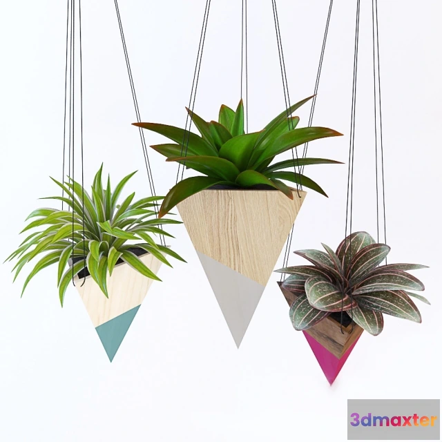 1606978 - decoration - Hanging plant 3D Max