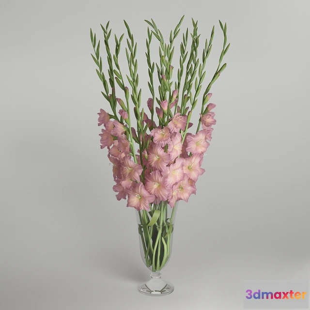1606990 - decoration - Gladiolus 3D Max