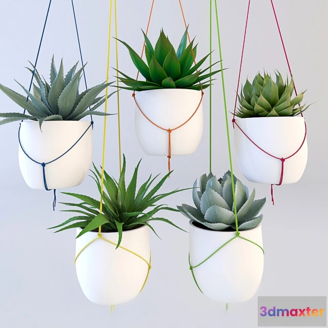 1606996 - decoration - Hanging plants 3D Max