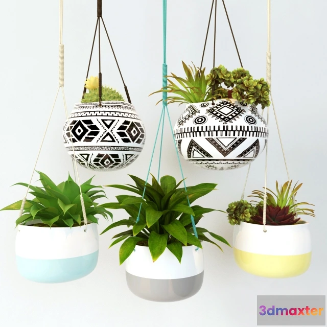 1607006 - decoration - Hanging plant 3D Max