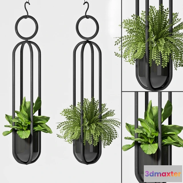 1607008 - decoration - Hanging plants 3D Max