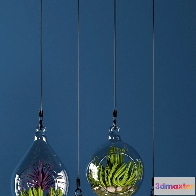 1607012 - decoration - HANGING BOWL VASE 3D Max