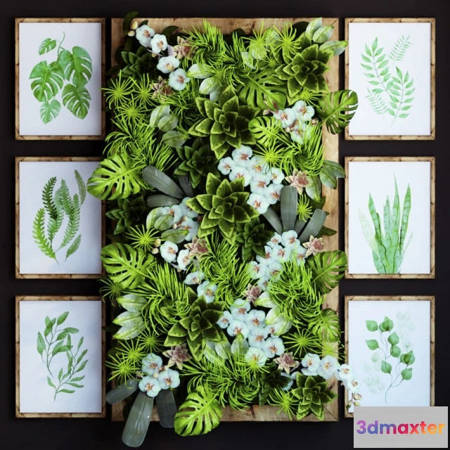 1607014 - decoration - Plants 3D Max