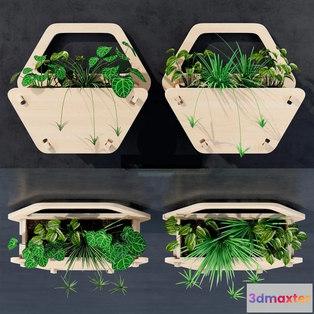 1607018 - decoration - Hexagon 3D Max