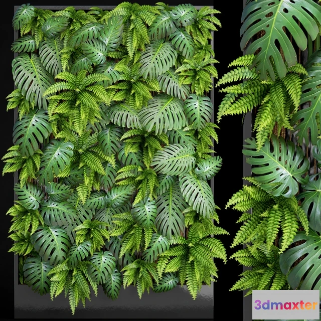 1607034 - decoration - Fytowall 3D Max