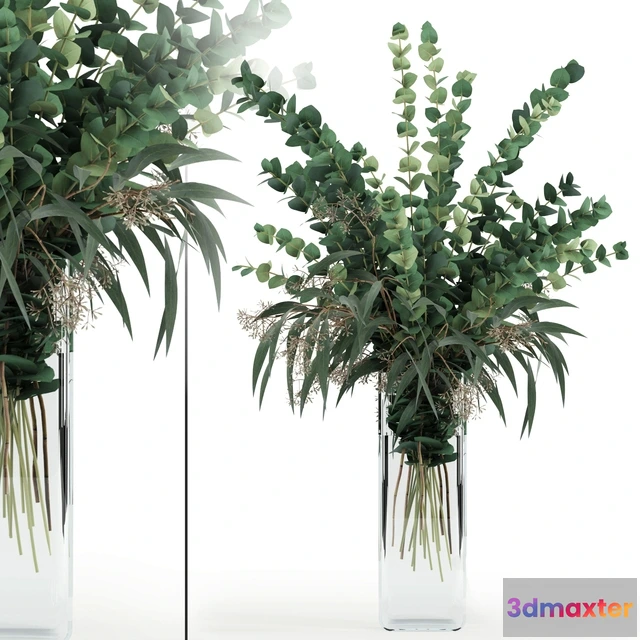 1607046 - decoration - Eucalyptus 3D Max