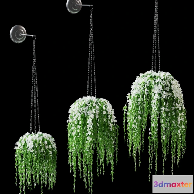 1607060 - decoration - Flowers in pots 3D Max