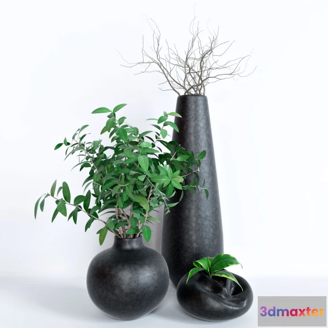 1607068 - decoration - Flowerpots set 3D Max