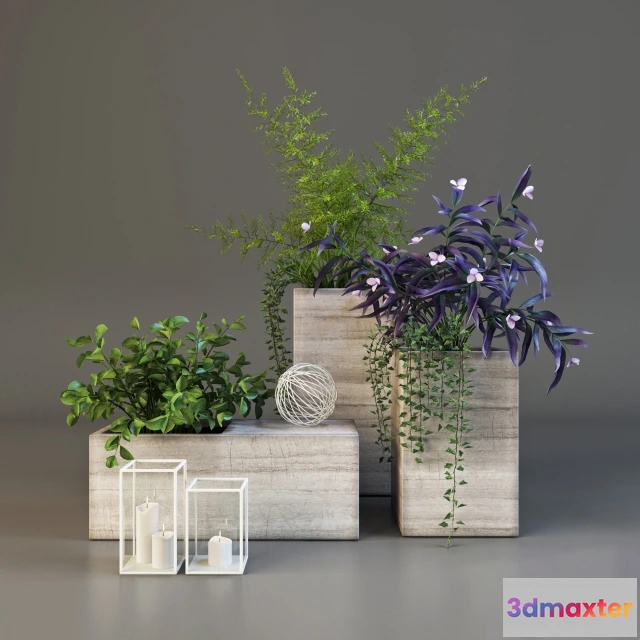 1607084 - decoration - Decor set with plants 3D Max