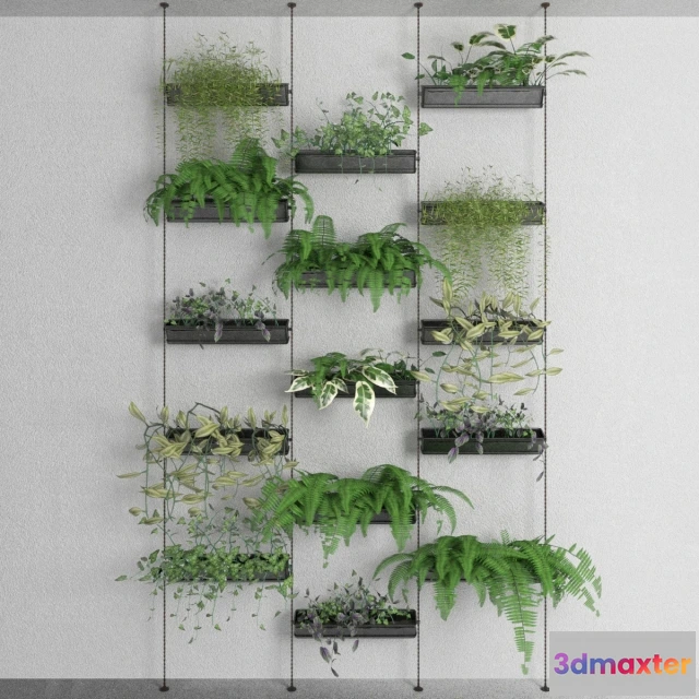 1607086 - decoration - Decorative plants 3D Max