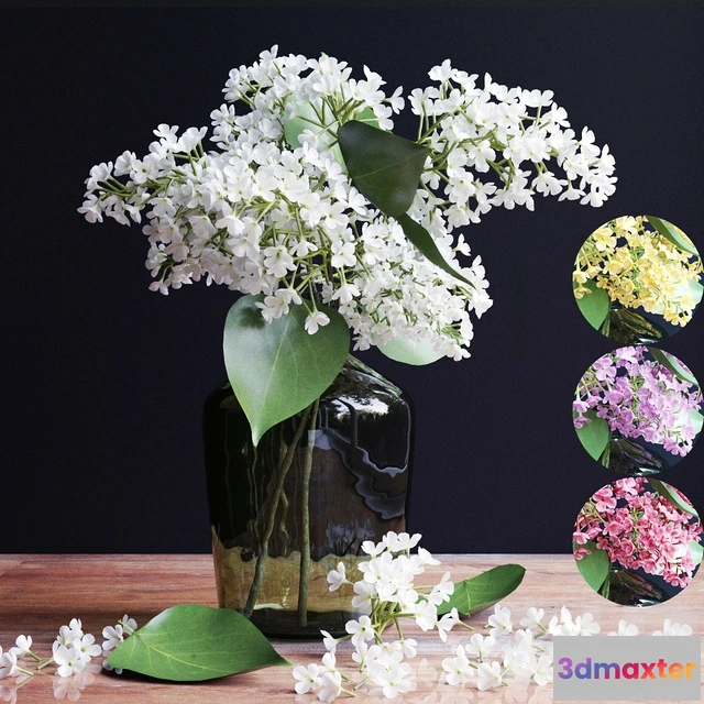 1607090 - decoration - Flowers 3D Max