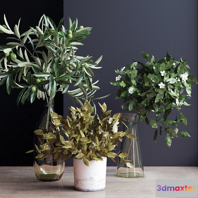 1607098 - decoration - Flowers 3D Max