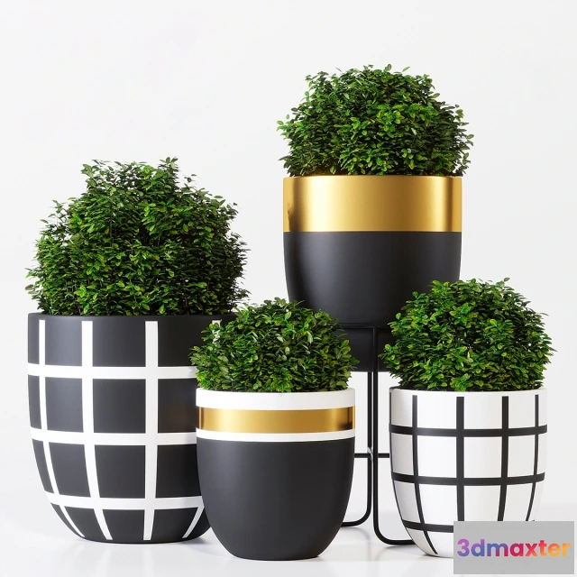 1607108 - decoration - Design twins pot one 3D Max